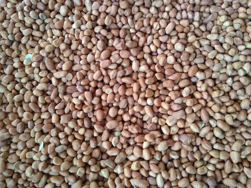 Hạt đậu phộng khô